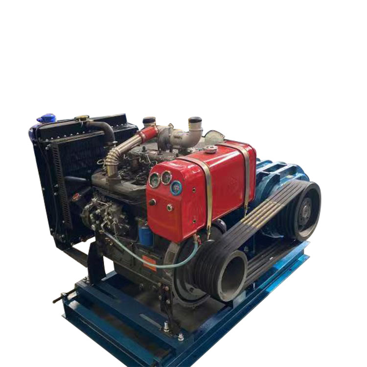 Diesel High Pressure Roots Blower