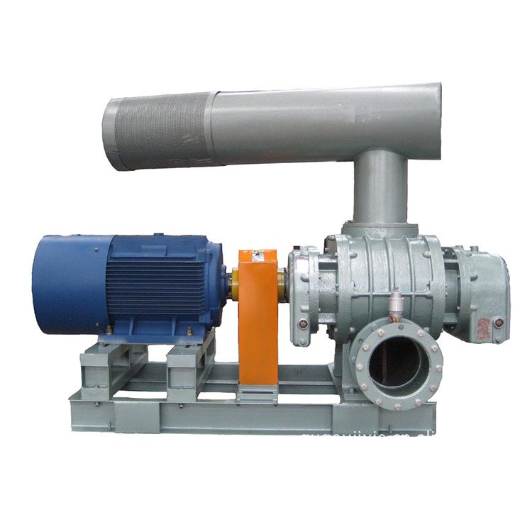 Direct Coupling Positive Roots Blower
