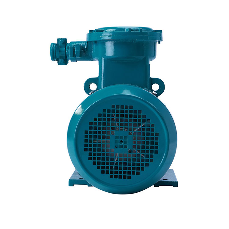 Explosion Proof Electrical Motor for Blower