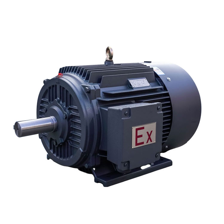 Explosion Proof Electrical Motor for Coal Mine
