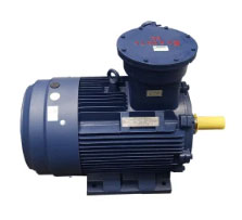 Explosion Proof Motor for Lifting and Metallurgy